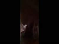 I give my brother a blow job